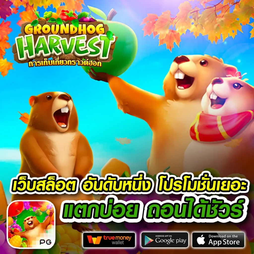 king 144 เกมสล็อต